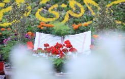 قال الإمام أمير المؤمنين عليّ بن أبي طالب (عليه السّلام): «البيت الذي يُقرَأُ فيه القرآن ويذكَرُ الله عزَّ وجلّ فيه تكثر بركته، وتحضره الملائكة، وتهجره الشّياطين، ويُضيء لأهل السّماء كما تضيء الكواكب لأهل الأرض. وانّ البيت الذي لا يُقرأ فيه القرآن ولا يُذكر الله عزّوجلّ فيه تقلّ بركته، وتهجره الملائكة، وتحضره الشّياطين».  المصدر ????: الكافي????451:2 ، 441.