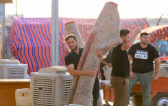 المَجمَع العلميّ يُعلن استعداده لإطلاق مشروع تعليم القراءة الصحيحة للزائرين في قضاء الهندية