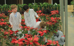 المَجمَع العلميّ ينظِّم سفرةً ترفيهيةً لطلبة الدورات القرآنية الصيفية في كربلاء