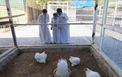 المَجمَع العلميّ ينظِّم سفرةً ترفيهيةً لطلبة الدورات القرآنية الصيفية في كربلاء