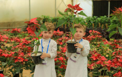 المَجمَع العلميّ ينظِّم سفرةً ترفيهيةً لطلبة الدورات القرآنية الصيفية في كربلاء